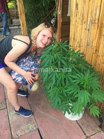 /album/fotogaleria-jamajka-zajazd-vy-a-my/0-12-jpg1/